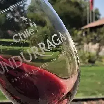 customized_Vin%C3%ADcola%20Undurraga_b85dfa1e-2bee-4777-8db6-7fa0a048c778.webp