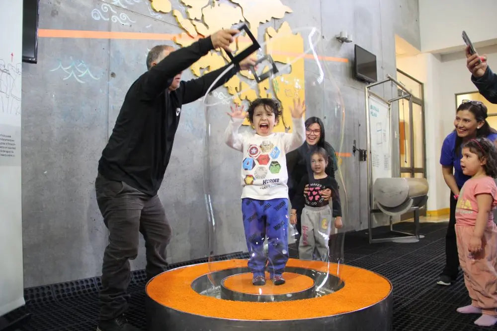 Entrada MIM - Adulto