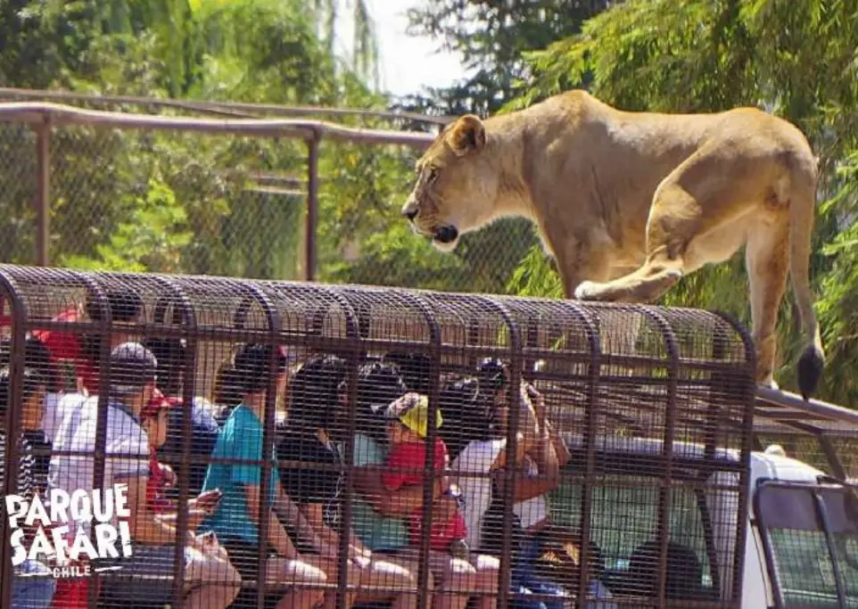 Parque Safari - PRIVADO