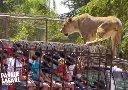 Parque Safari - PRIVADO