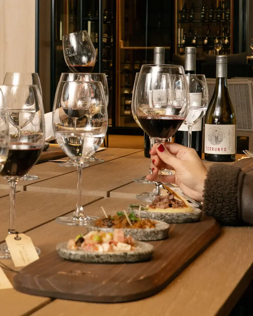 Ticket CONCHA Y TORO - TERRUNYO FOOD & WINE