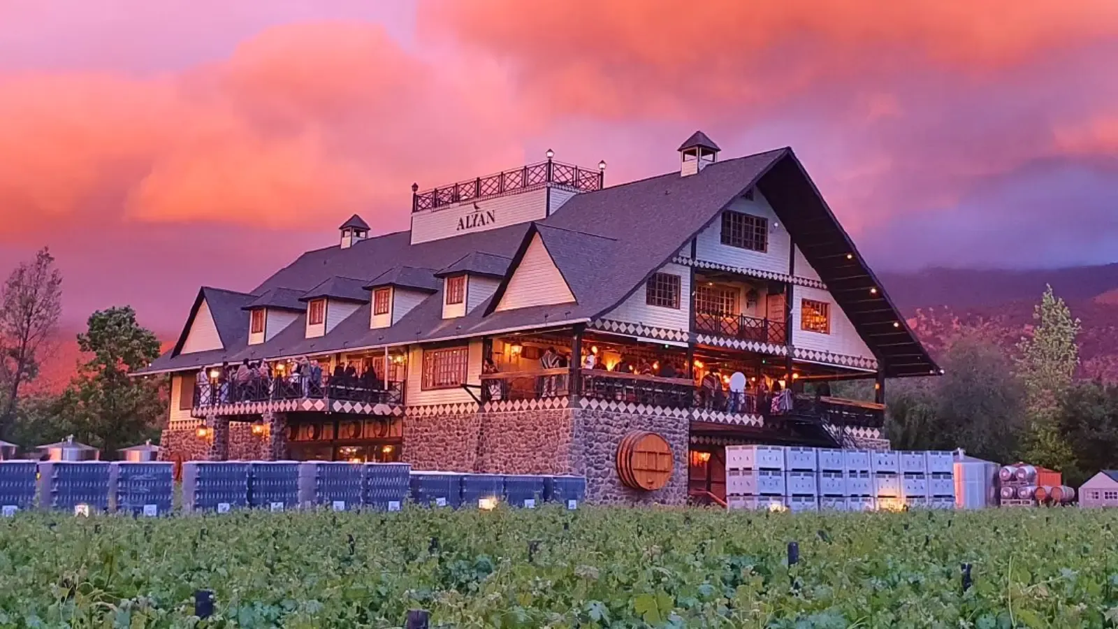 Transporte Alyan Sunset