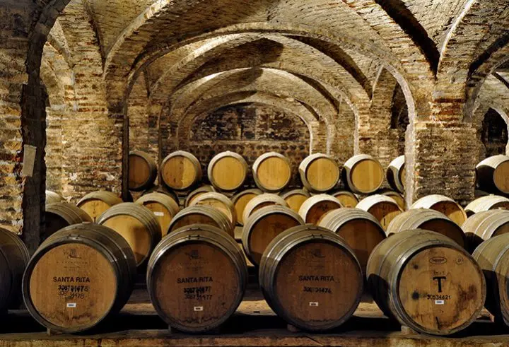 Ticket - Vinícola Santa Rita Tour Básico