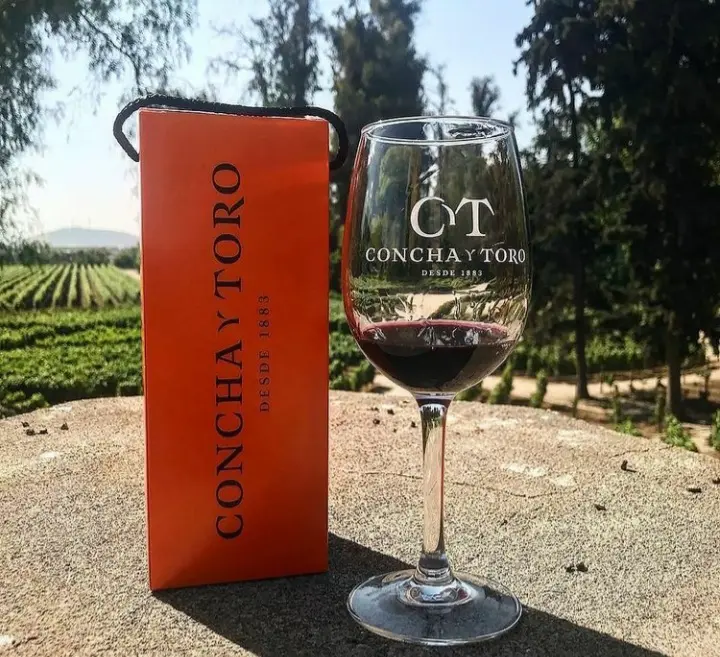 Concha y Toro - PRIVADO